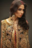 (Wedding Wear) (Red Bridal) (Shamaeel Ansari)