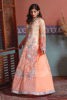 (Wedding Wear) (Peach) (Shamaeel Ansari)