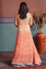 (Wedding Wear) (Peach) (Shamaeel Ansari)